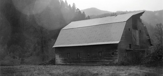 Flash Fiction Stories