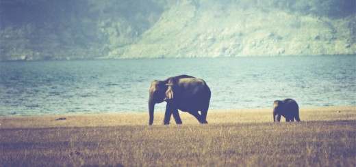 short story about perfection