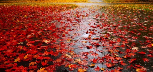 haibun poem examples