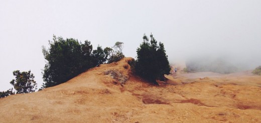 Free Poetry, Nature Photography