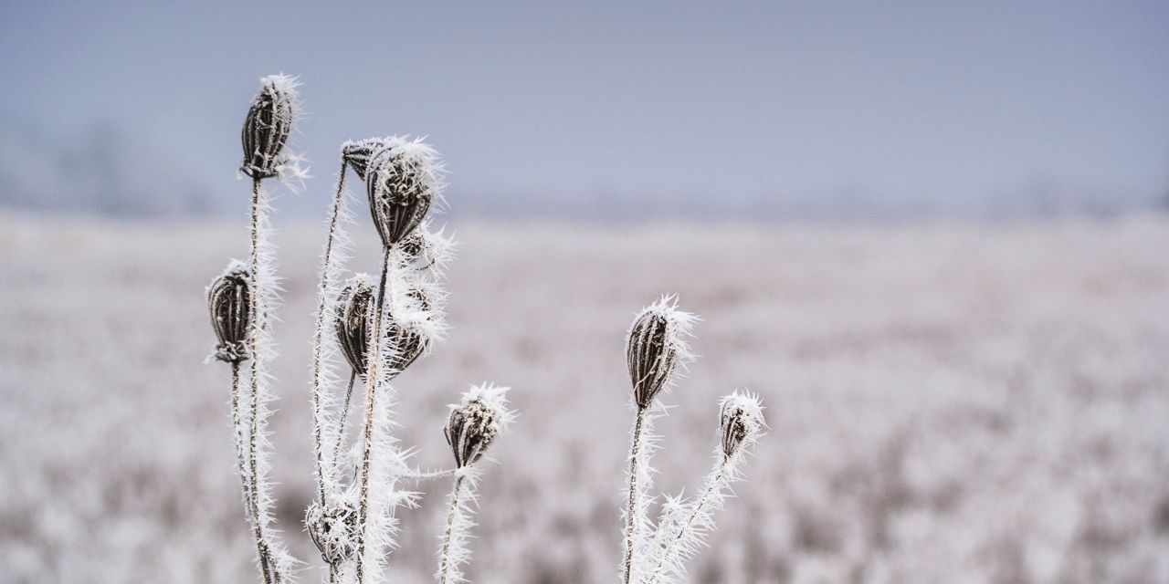 Poem About Winter