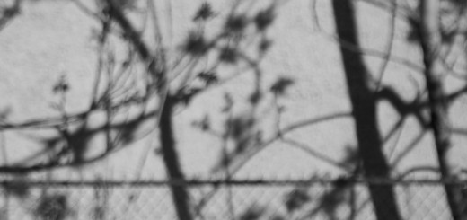 Long Poems About Life